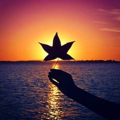 雷佳音询问“阴阳合同” 经纪人一句话回怼太搞笑